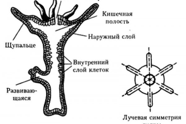 2krn